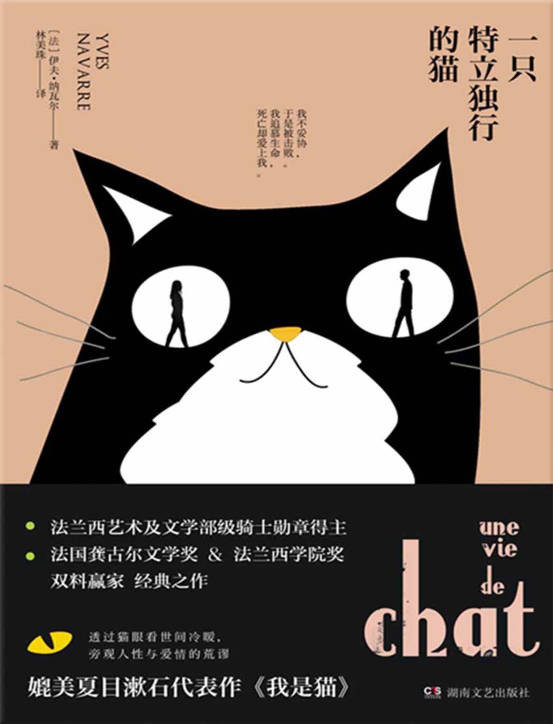 一只特立独行的猫.jpg
