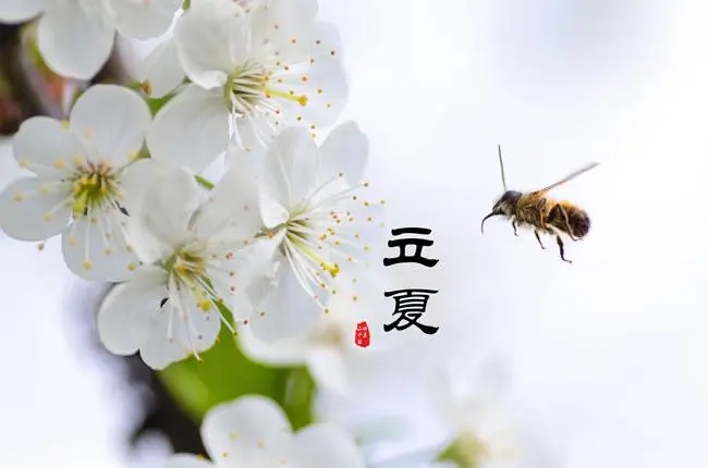 u=2320980571,3209844134&fm=253&fmt=auto&app=138&f=JPEG.webp.jpg